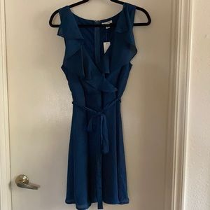Francesca’s Collection Peacock satin minidress